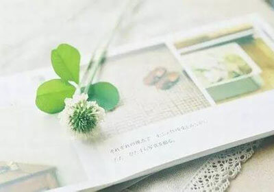 柏林赫塔被逆转，遭遇主场失利